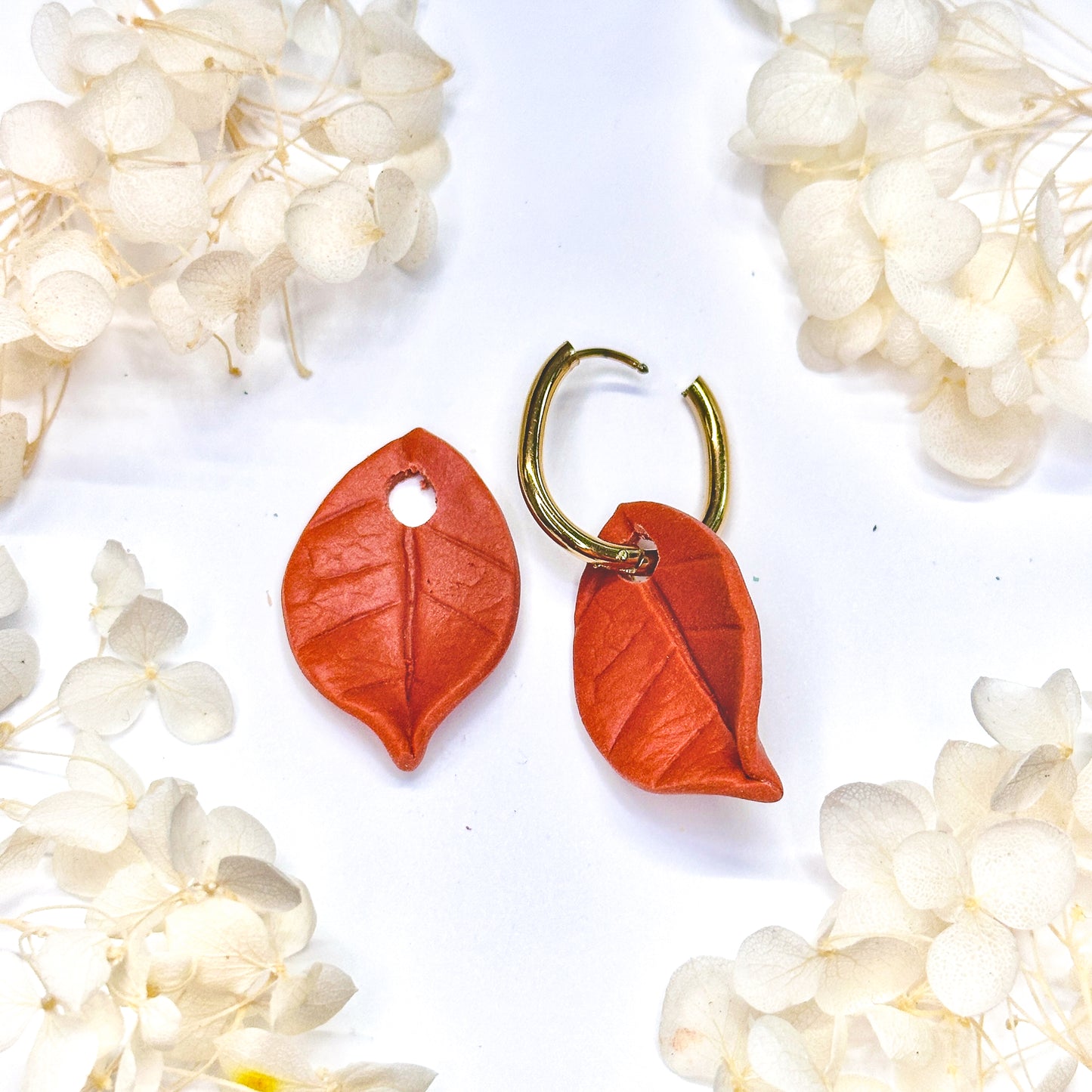 Hoya Coriacea (Terracotta) Charms - Klaily