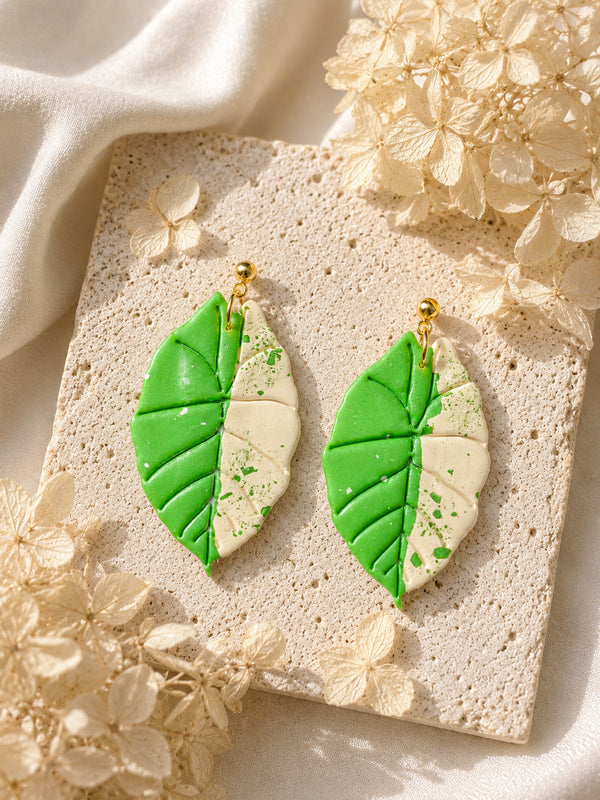 Alocasia Scabriuscula Albo Variegated Earrings