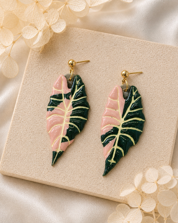 Alocasia Amazonica - Klaily