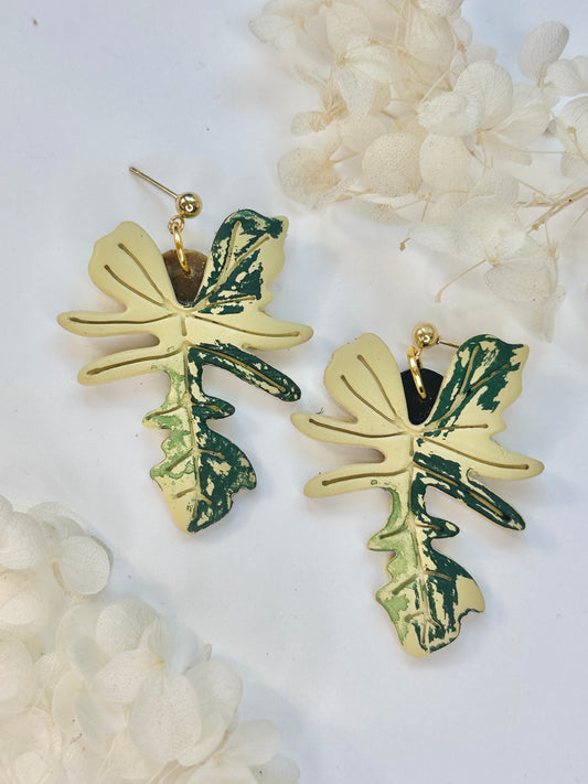 Philodendron Florida Beauty