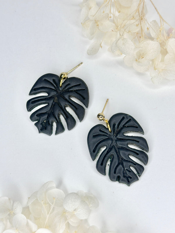 Black Monstera - Klaily