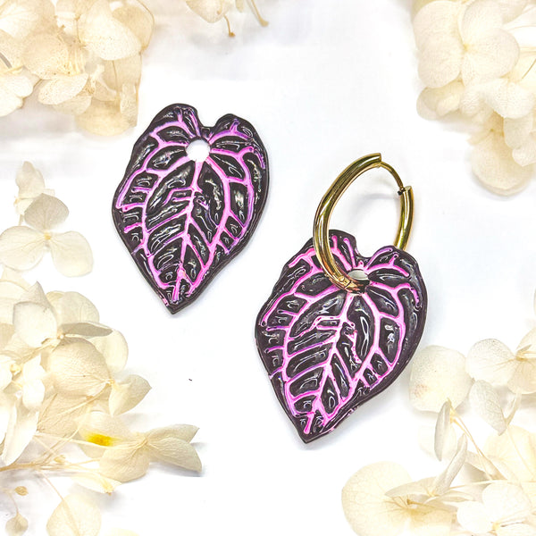 Anthurium Michelle x Zara Charm - Klaily