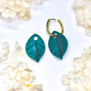 Hoya Coriacea (Dark Green) Charms