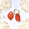 Hoya Coriacea (Terracotta) Charms