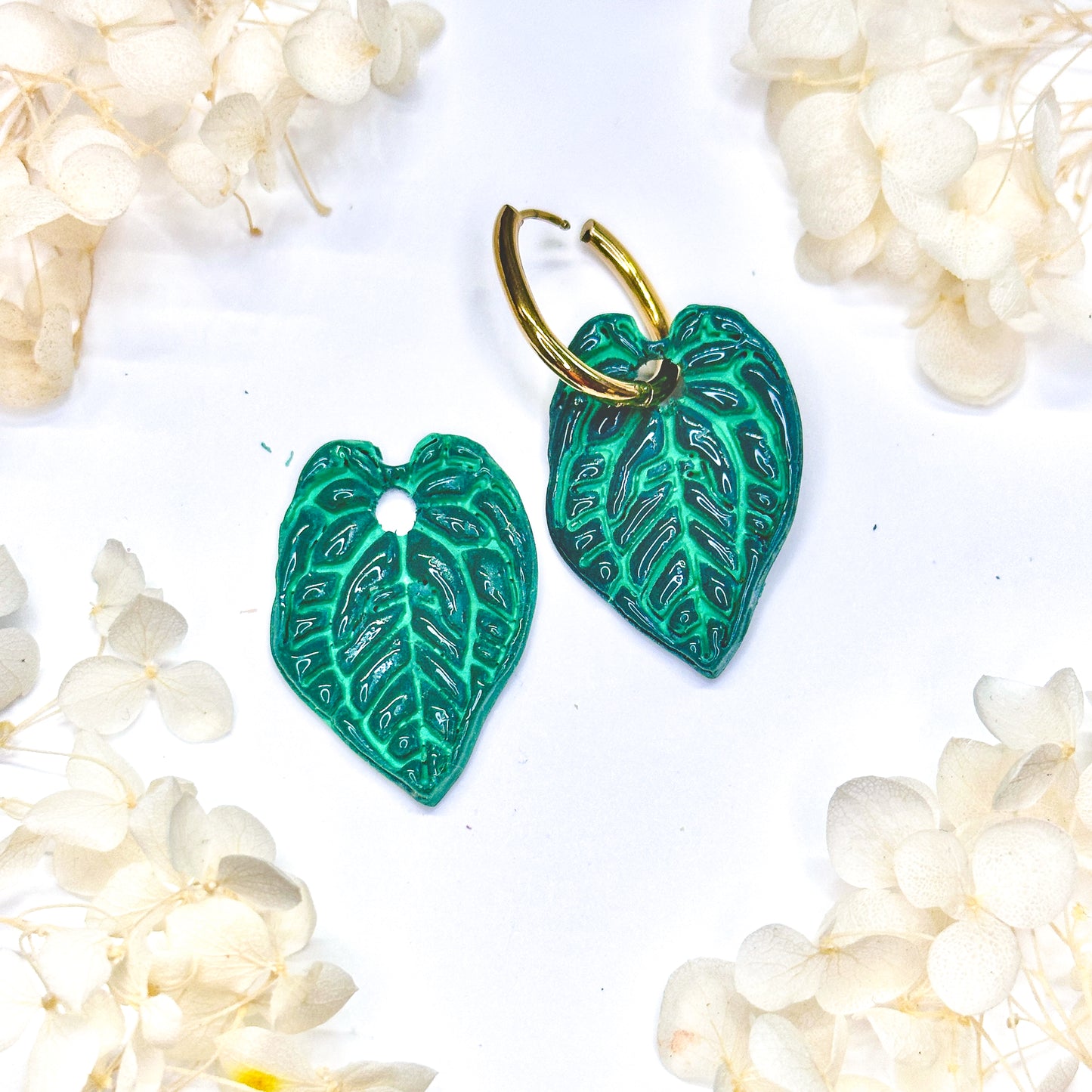 Anthurium Crystallinum Charms