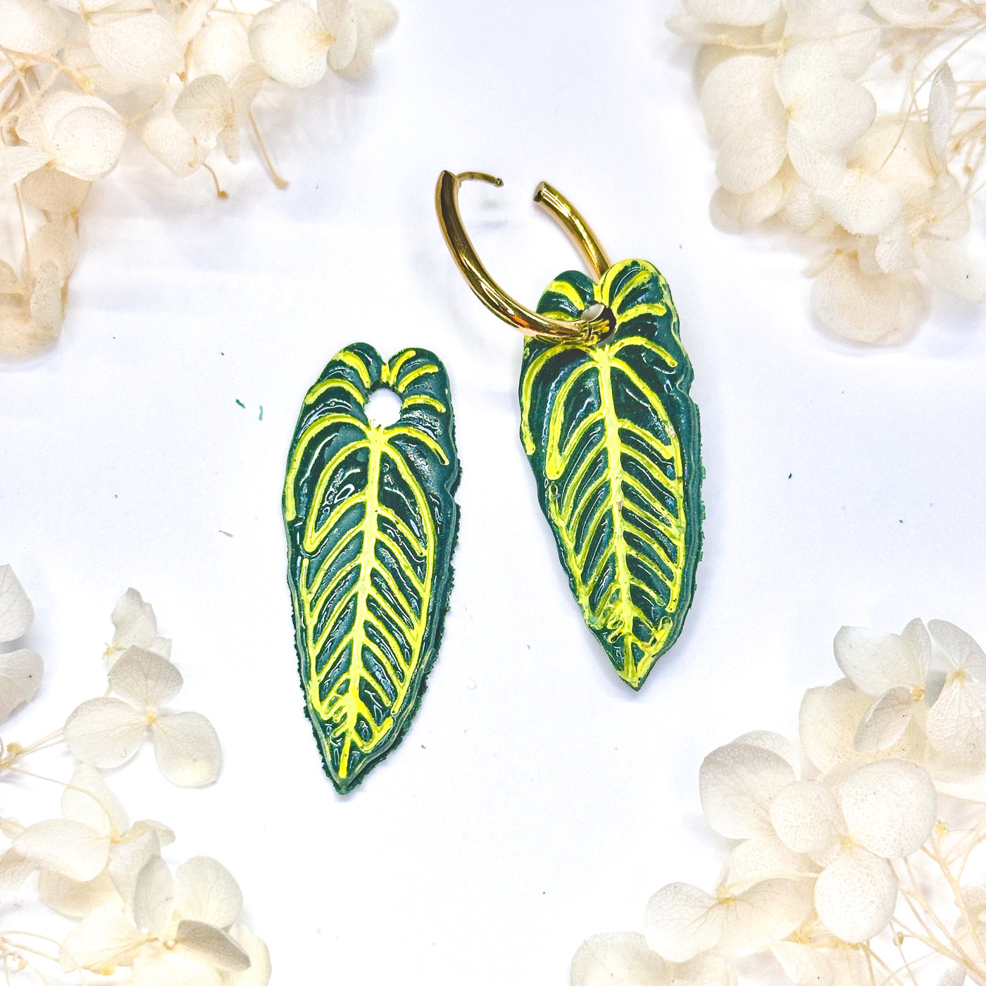 Anthurium Warocqueanum (queen) Charms - Klaily