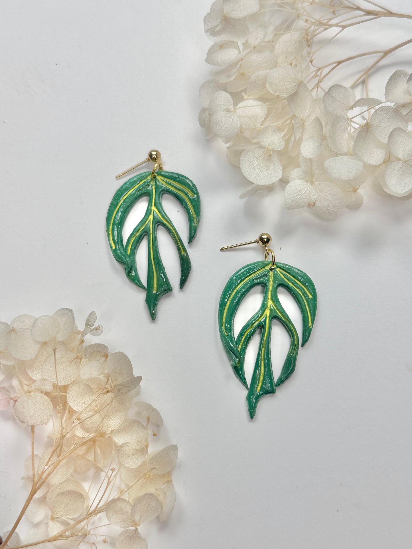 Philodendron Burle Marx Flame