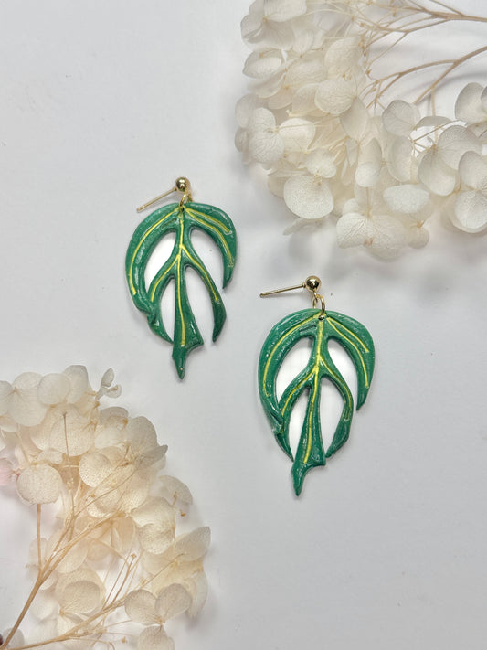 Philodendron Burle Marx Flame