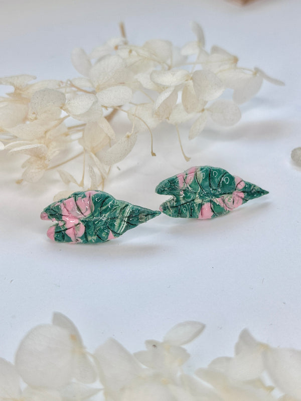 Alocasia Variegated Studs - Klaily