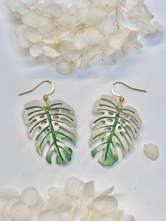 Monstera White Devil