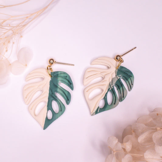 Half Moon Monstera