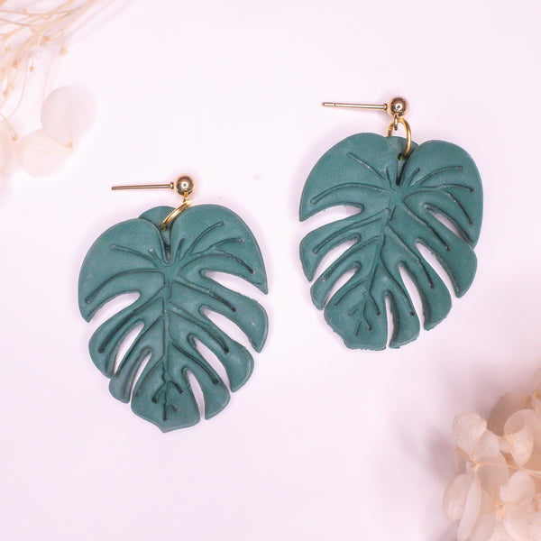 Monstera Deliciosa - Klaily