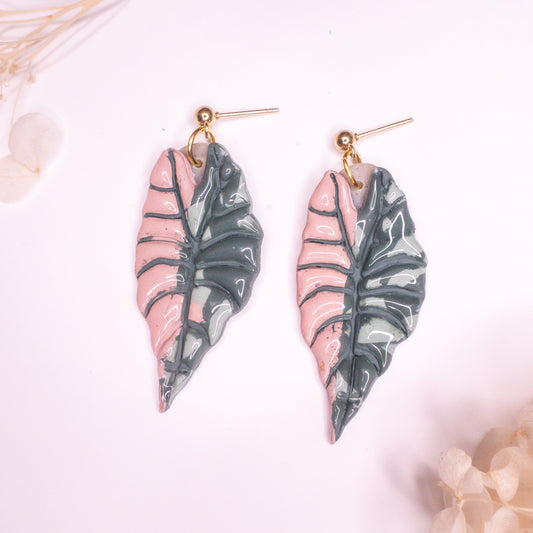 Philodendron Pink Princess