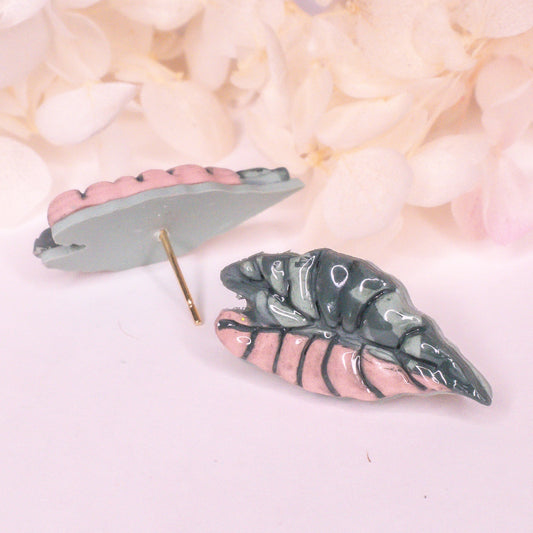 Variegated Alocasia Pink Dragon Studs