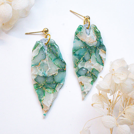 Alocasia Aurora – Marbled Leaf