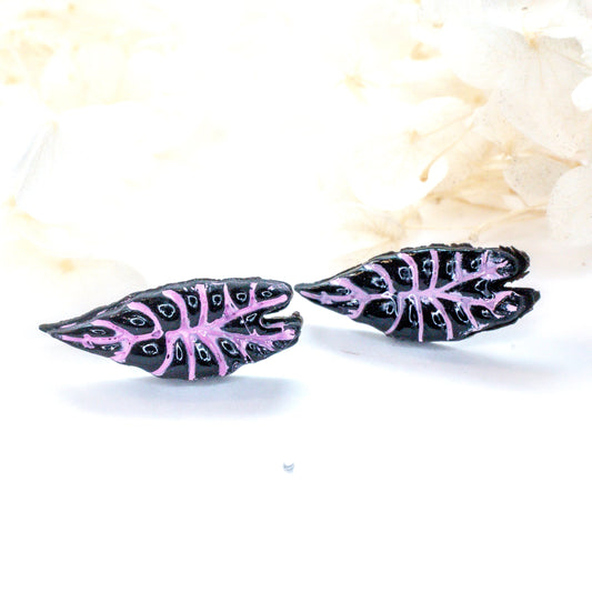 Alocasia Polly Studs – Dark Leaf with Pink Veins